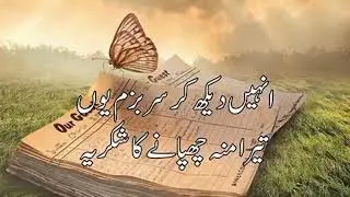 best Urdu poetry | sad Urdu poetry status | dilkash TV
