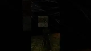 Я же не один? #shorts #gaming #gothic