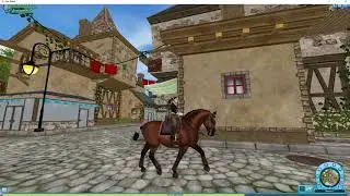 My G3 Bay Lipizzaner  Royalzeppelin SSO 2023