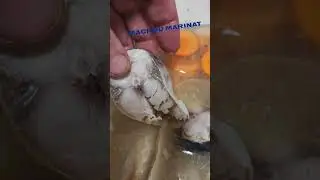 macrou marinat!