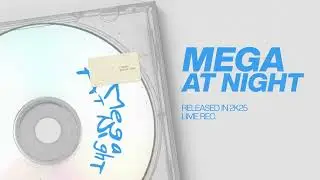 THEUZZO - MEGA AT NIGHT