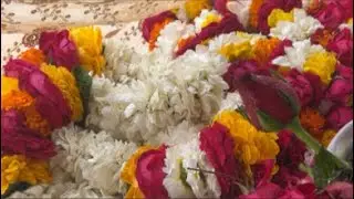 🌼27 Jan 2026 Divine Afternoon In 🦚 Vrindavan Dham #livestream #ytindia #vrindavan #love #beauty