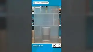 Smartmi P1 Air Purifier - Smoke Test