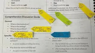 Planning Small Group Instruction with Geodes