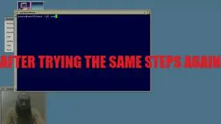 Netctl (network management software) setup on Arch Linux
