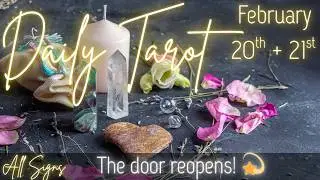 All Signs: You Get Another Chance - Use It Differently! 💫 Daily Tarot 🧿 February Tarot 2026