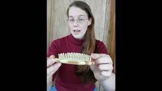 Tek Brush Review