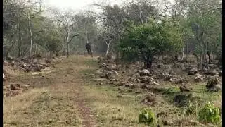gomarda wildlife sanctuary