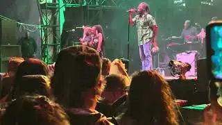 Positive Vibration (partial) Ziggy Marley Pier 17 NYC 2025