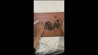 iwa golo kansawkom fhad lberdd