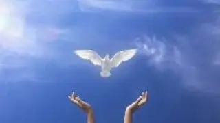 Niba nawe ujyurota izinzozi ihutire gukora bino bintu vuba kuko wamaze guhu mana nukora ibi uzabohok