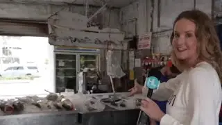 Exploring a fresh fish market on Galveston's Pier 19