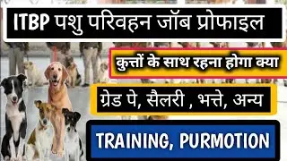 itbp animal transport recruitment 2022, itbp job profile,work ,salary, permotion l