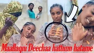 🛑 Maallaqni Deechaa hattuun hatame😭😭😭😭😭