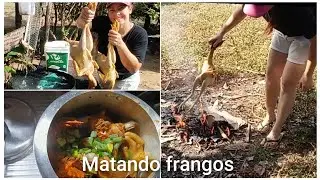 Killing chickens and making lunch