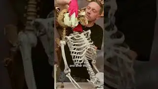 How to make a realistic looking skeleton for Halloween!