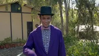 Purple Sister - Mr Moody (Official Video)