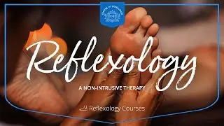 Reflexology Diploma Course | Centre of Excellence | Transformative Education & Online Learning