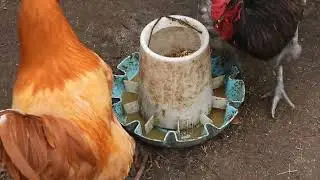 Лучшие кормушки для животных