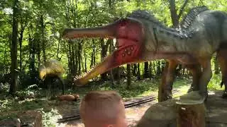 world of Dinasour Hertfordshire Zoo
