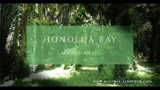 Honolua bay - Maui Hawaii