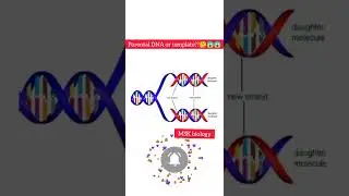#parental DNA or #template#molecular basis of inheritance #viral #short feed@msk biology