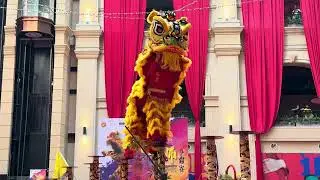 2025 National Unity High Pole Lion Dance Championship @ Hextar World (中華華中龍芯武術龍獅團)