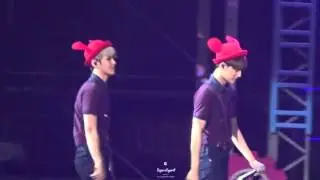 SugarReport - 151212 PeterPan KaiBaek focus