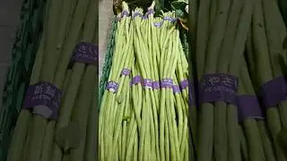 Kacang panjang #sayuran #kacangpanjang #pasarsayur #pasarhongkong #shortvideo