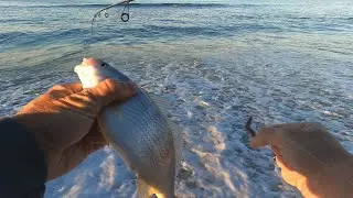 How to fish CAROLINA RIG in BIG SURF for PERCH and CROAKER