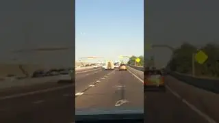 #phoenix #surprised #funny #highway