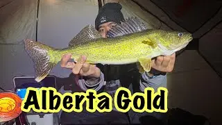 First Overnight Ice Fishing Adventure | Garmin Live scoop | Walleye | Pike | Fun😂