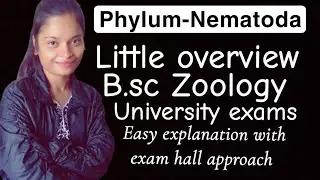 Phylum-Nematoda || b.sc || zoology || rajasthan university || nematoda