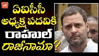 Rahul Gandhi Resignation As AICC President For Congress Defeat In Amethi | PM Modi | YOYO TV Channel