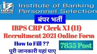 How to fill IBPS CRP Clerk XI (11) Recruitment 2021 Online Form । 7855 Post । Full Detail