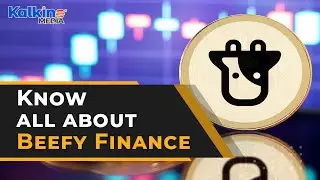 What is Beefy Finance? what does it do?