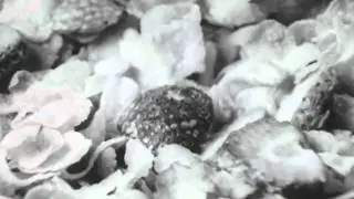 Post Fruit And Cereal commercial