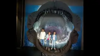 Nords&oslash;en - The North Sea Oceanarium - Largest Aquarium - Hirtshals,  Denmark - Must visit!!