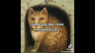 I fvcking love medieval  cats😭😭￼