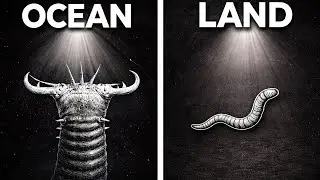 Why Sea Worms Trigger a Fear Land Worms Never Will