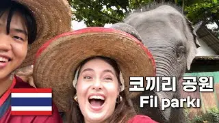 코끼리를 우리 손으로 돌본다고? 치앙마이 코끼리 공원 - 태국 #7 🇹🇷🇰🇷