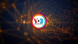 Lunching Our New Logo | The VOB
