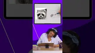 Drawing a Raccoon with Simply Draw