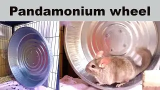 Pandamonium Wheel Unboxing and Review
