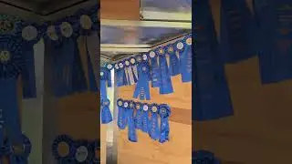 Серьёзная конкуренция на тягаче садового трактора Потомак Шенандоа