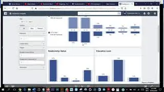 Facebook Targeting and Audience Insight tool