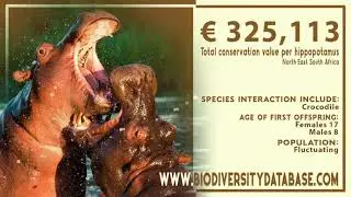 Biodiversity Database
