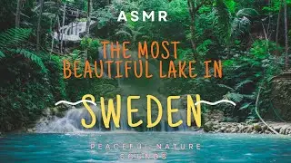 Nature Sound / Sweden peaceful Lake/ ASMR / Relaxing film #nature #lake #birds