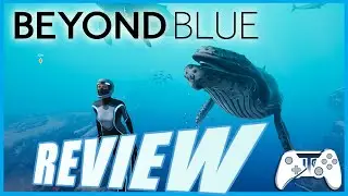 Beyond Blue Review - Deep Dive Whale Watching!