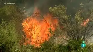 La paradoja de la extinci&oacute;n de incendios forestales